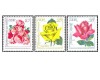 DDR 1972 - expo trandafiri, serie neuzata