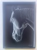 Tablou - Cal alb in intuneric, Animale, Carbune, Realism