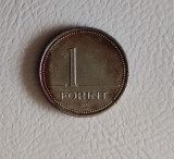 Ungaria - 1 forint (1994) - monedă s216, Europa