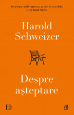 Despre asteptare - Harold Schweizer foto