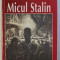 MICUL STALIN de ANA LUDUSAN , 1999