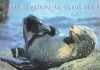 Bnk cp Felicitare - Ma tavalesc de dorul tau ! - foca