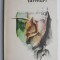 Intre doua tarmuri - Henry James