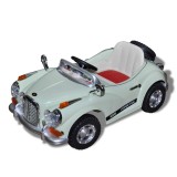 vidaXL Vehicul de Călărie Verde Plastic 80078