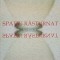 SPATIU RASTURNAT. VERSURI-VASILE MANDRIC-170105