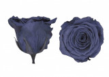 Trandafiri Criogenati Roseamour, Marime XL, Gri