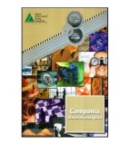 - Compania. Afacerea mea pilot - 118167