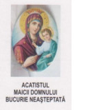 Acatistul Maicii Domnului - Bucurie neasteptata