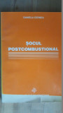 Socul postcombustional - Daniela Cernea