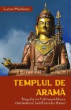 Templul de aramă - Paperback brosat - Iulian Lucian Maidanuc - Herald