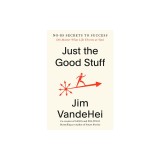 Just the Good Stuff: No-Bs Secrets to Success (No Matter What Life Throws at You)
