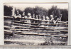 Bnk foto Leresti 1926 - membre ACF, Alb-Negru, Romania 1900 - 1950, Natura