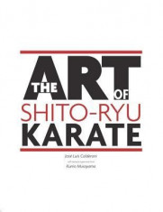 The Art of Shito Ryu Karate foto