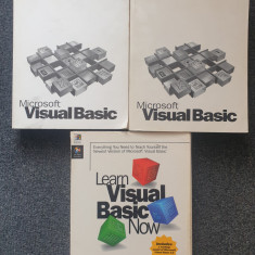 MICROSOFT VISUAL BASIC Programmer's Guide + Language + LEARN VISUAL BASIC NOW