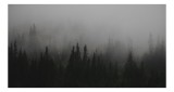 Tablou Canvas, "Ceața deasă acoperă pădurea verde", Ceață, Pădure, Mister, Copaci, Umbre, Calm, Natură, &Icirc;ntunecat, Liniște, Viziune, Munți, 39 x 26 cm