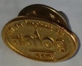 Insigna "Un An Implinit de DIALOG gsm (actuala ORANGE)" metal auriu neferos RO 1998 / 17 mm x 12 mm 2,50 g Stare! / RARITATE marcaj spate: "Pl-II-CO"