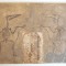 F Krantz &quot;Pterodactylus spectabilis&quot; mulaj de ipsos pentru uz didactic si stiintific cca 1890-1910