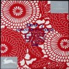 JAPANESE PATTERNS (INCLUDE CD)-PEPIN VAN ROOJEN-335597