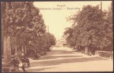 3417 - FOCSANI, Vrancea, Park, Romania - old postcard - unused, Necirculata, Printata