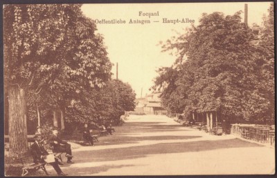 3417 - FOCSANI, Vrancea, Park, Romania - old postcard - unused foto