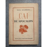 Radu Boureanu - Cai de apocalips