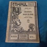Carte Ingerul varsarii de sange de Mauriciu Jokai - Biblioteca Caminul perioada interbelica 110 pagini !