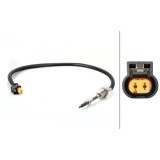 Hella Senzor, temperatura gaze evacuare