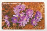 bnk card Cartele telefonice - Coreea de Sud - flora - flori
