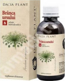 Branca Ursului Tinctura Dacia Plant 50ml