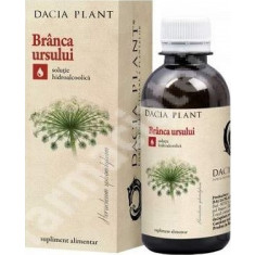 Branca Ursului Tinctura Dacia Plant 50ml