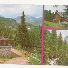 RF23 -Carte Postala- Valea Ialomitei, Cabana Padina, necirculata