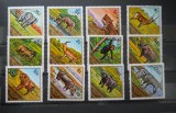 SERIE GUINEA FAUNA