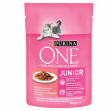 PURINA ONE JUNIOR mini filete cu somon și morcovi &icirc;n suc 85 g