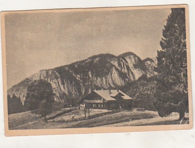 bnk cp Spre Postavaru - Casa de odihna - circulata foto