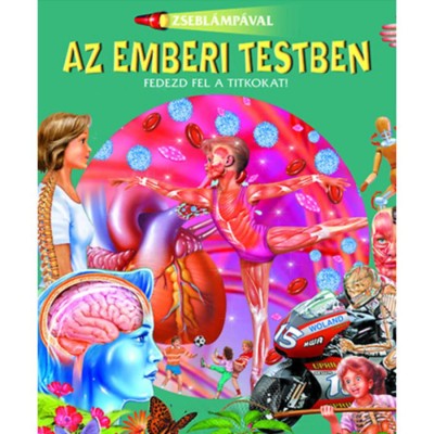Zsebl&amp;aacute;mp&amp;aacute;val - Az emberi testben foto