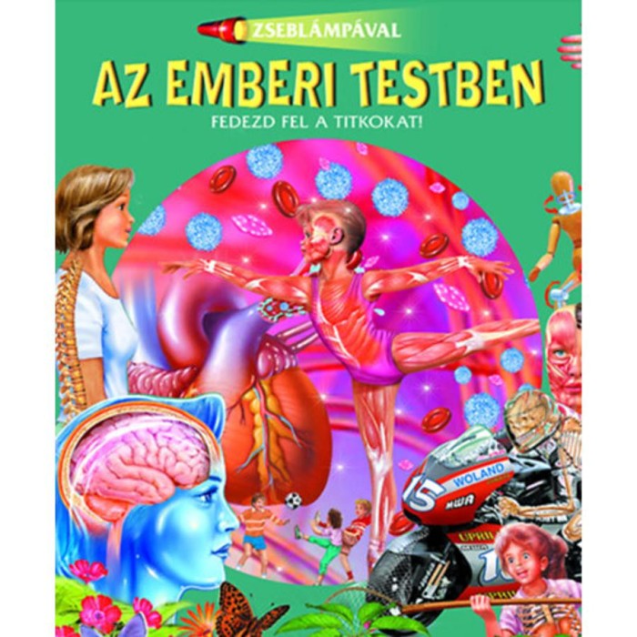 Zsebl&aacute;mp&aacute;val - Az emberi testben