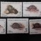 Tanzania-Fauna,insecte,melci-serie completa ,nestampilate MNH (C1)