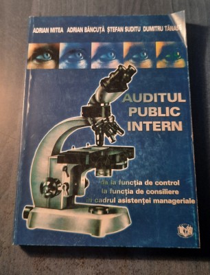 Auditul public intern Adrian Mitea Adrian Bancuta foto