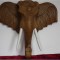 SCULPTURA ELEFANT
