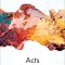 Acts: An Interpretation Bible Commentary