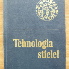PETRU BALTA - TEHNOLOGIA STICLEI - 1966