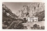 RF72 -Carte Postala- Muntii Apuseni, Cabana Cheile Turzii , necirculata