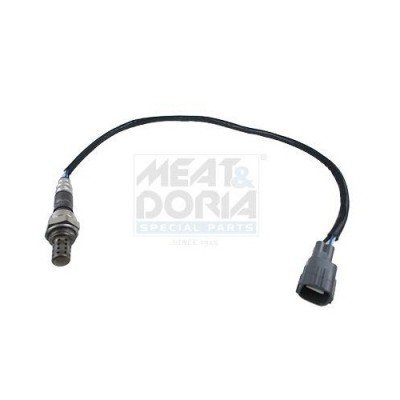 Meat &amp;amp;amp; Doria Sonda Lambda foto