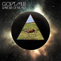 Govt Mule Dark Side Of The Mule LP (2vinyl glow in the dark)