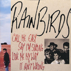 VINIL Rainbirds ‎– Call Me Easy Say I'm Strong Love Me My Way - VG+ -