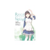 Rascal Does Not Dream, Vol. 11 (Light Novel)