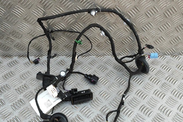 Cablaj ușă st&acirc;nga față AUDI Q2 GA 2024 OEM: 81A971029AG | 31951313