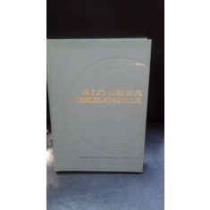 ALGEBRA OMOLOGICA - I. BUCUR