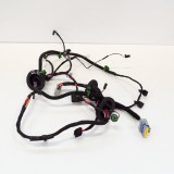 Cablaj ușă dreapta spate TESLA MODEL S 2018 OEM: 6588K1-20 10643728