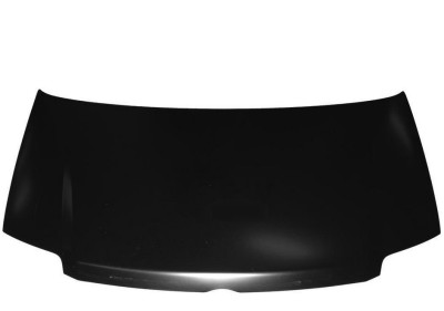 Capota motor Fiat Panda (169) 09.2003-12.2012 Fata 46827037 foto
